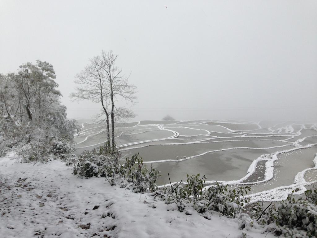 Flowers Residence Yuanyang (Yunnan) Exterior foto